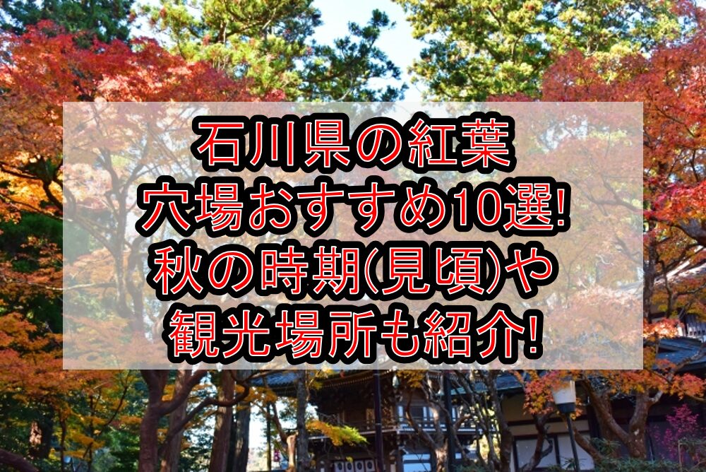 石川県の紅葉穴場おすすめ10選2024!秋の時期(見頃)や観光場所も紹介!