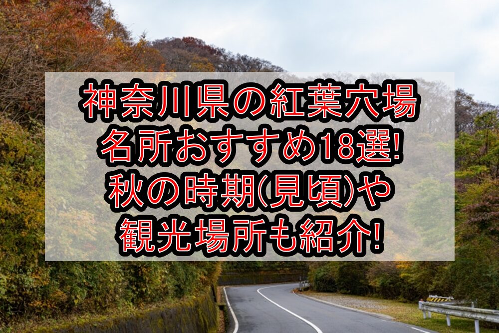 神奈川県の紅葉穴場･名所おすすめ18選2024!秋の時期(見頃)や観光場所も紹介!