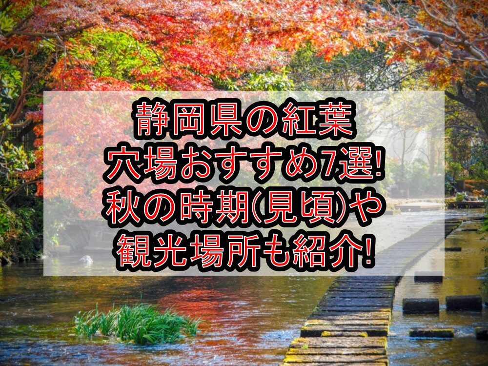 静岡県の紅葉穴場おすすめ7選2024!秋の時期(見頃)や観光場所も紹介!