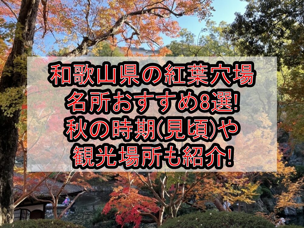 和歌山県の紅葉穴場･名所おすすめ8選2024!秋の時期(見頃)や観光場所も紹介!