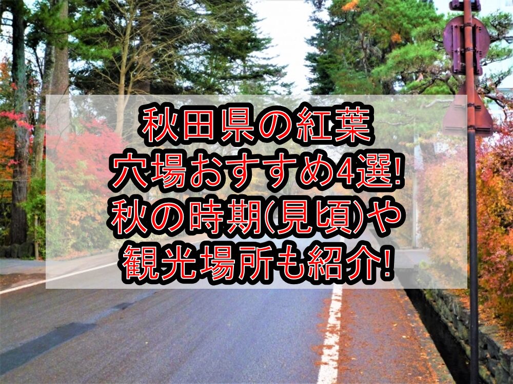 秋田県の紅葉穴場おすすめ4選2024!秋の時期(見頃)や観光場所も紹介!