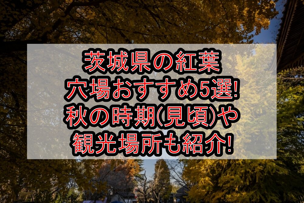 茨城県の紅葉穴場おすすめ5選2024!秋の時期(見頃)や観光場所も紹介!