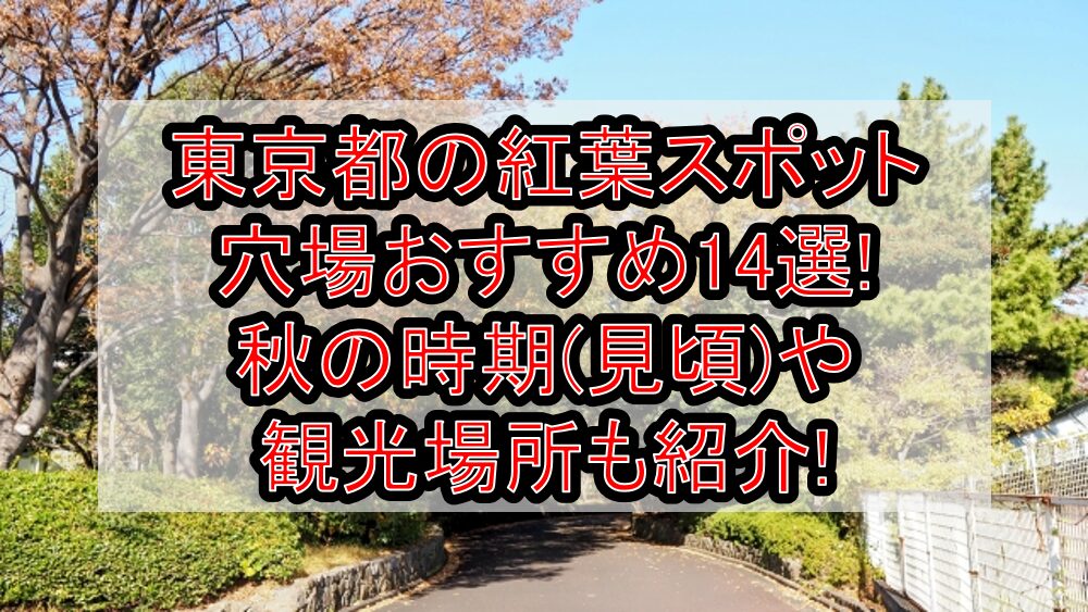 東京都の紅葉スポット穴場おすすめ14選2024!秋の時期(見頃)や観光場所も紹介!