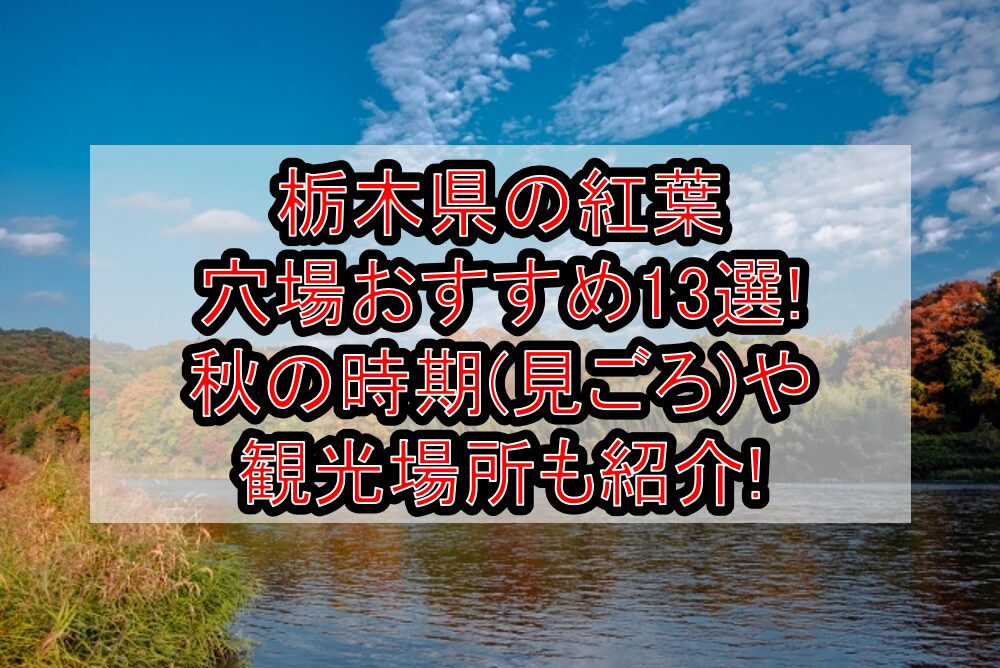 栃木県の紅葉穴場おすすめ13選2024!秋の時期(見ごろ)や観光場所も紹介!