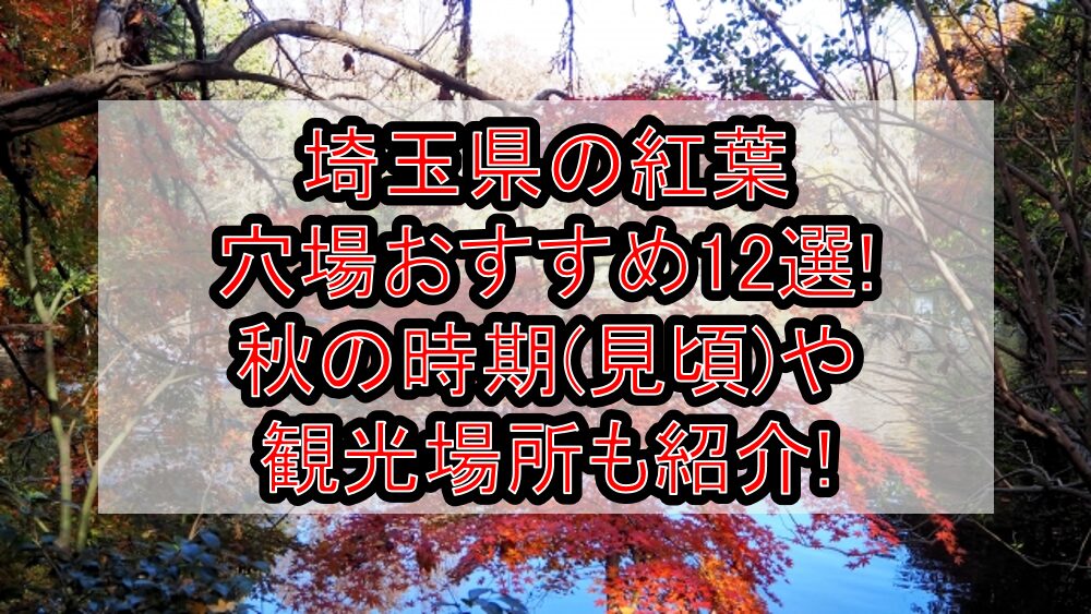 埼玉県の紅葉穴場おすすめ12選2024!秋の時期(見頃)や観光場所も紹介!