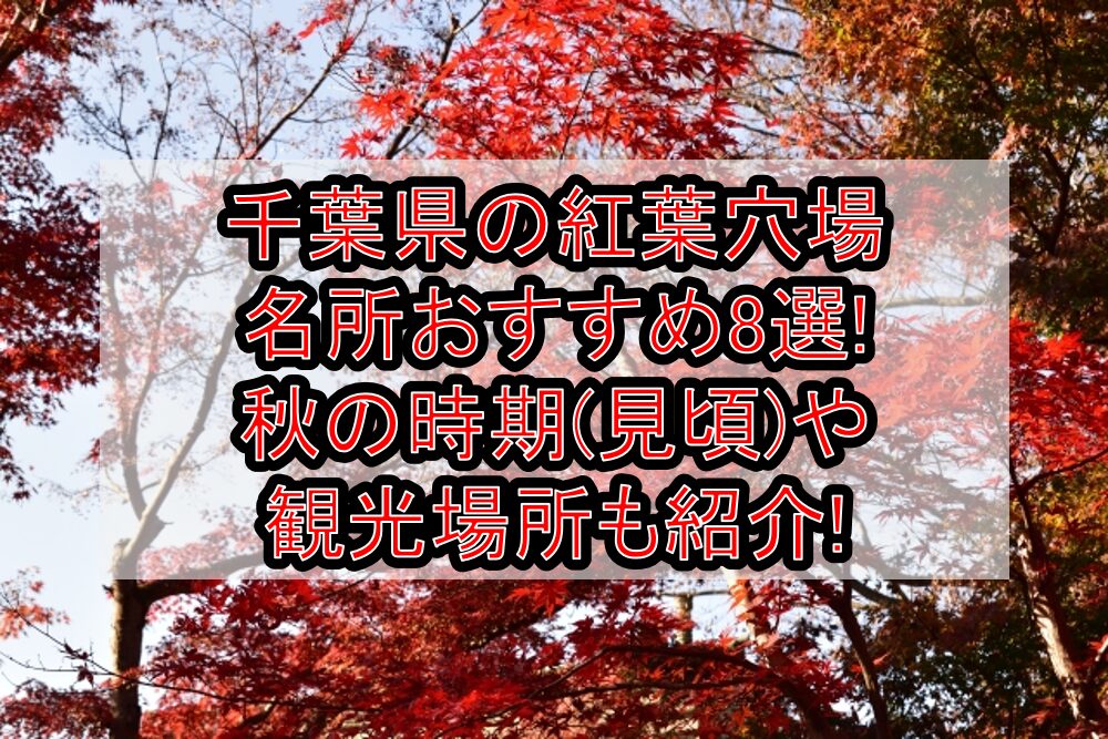 千葉県の紅葉穴場･名所おすすめ8選2024!秋の時期(見頃)や観光場所も紹介!