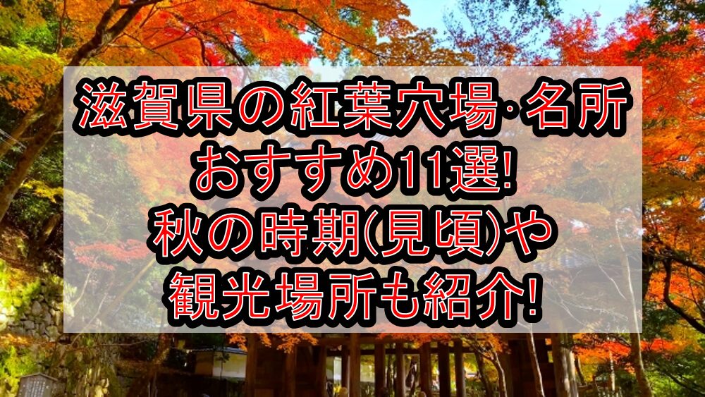 滋賀県の紅葉穴場･名所おすすめ11選2024!秋の時期(見頃)や観光場所も紹介!