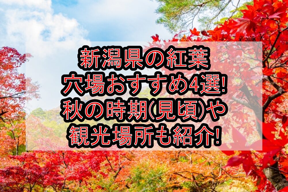 新潟県の紅葉穴場おすすめ4選2024!秋の時期(見頃)や観光場所も紹介!