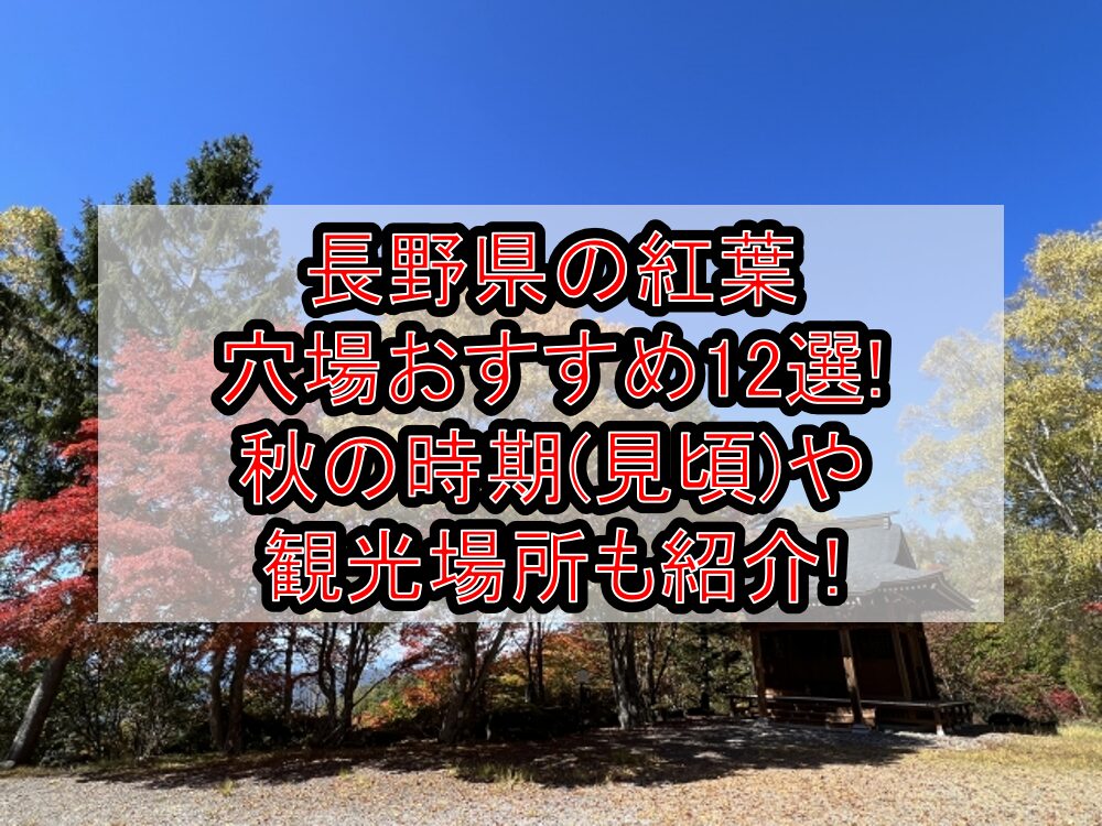 長野県の紅葉穴場おすすめ12選2024!秋の時期(見頃)や観光場所も紹介!