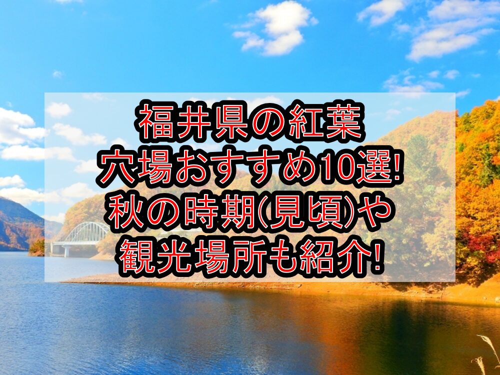 福井県の紅葉穴場おすすめ10選2024!秋の時期(見頃)や観光場所も紹介!