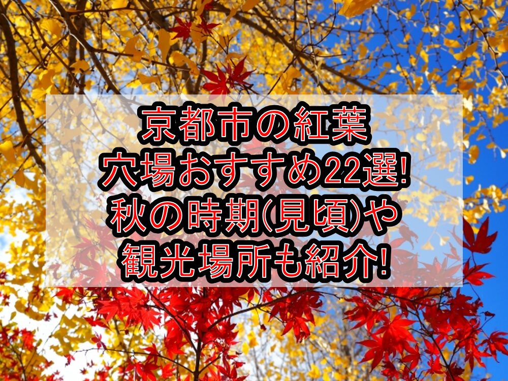 京都市の紅葉穴場おすすめ22選2024!秋の時期(見頃)や観光場所も紹介!