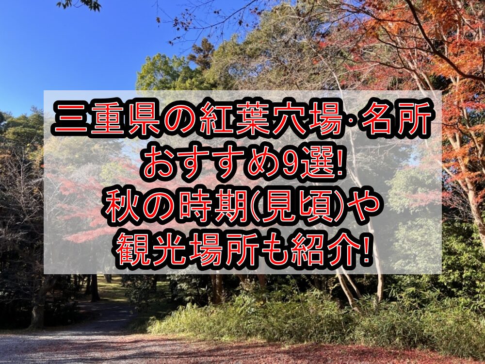 三重県の紅葉穴場･名所おすすめ9選2024!秋の時期(見頃)や観光場所も紹介!